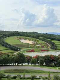 暑假親子遊|彌勒太平湖森林公園(附攻略)