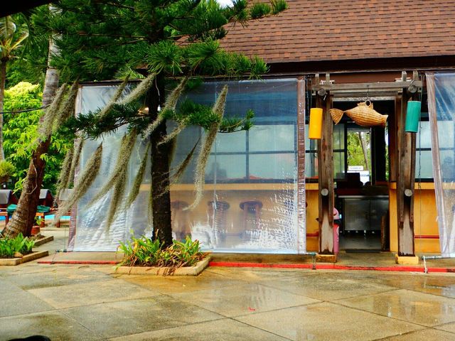 椰影搖曳!可可帕姆海灘度假村享寧靜假期   酒店:可可帕姆海灘度假村  地址:26/4 Mo 椰影搖曳!可可帕姆海灘度假村享寧靜假期   酒店:可可帕姆海灘度假村  地址:26/4 Mo