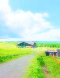 長白仙境華美勝地   22℃夏天+冬季粉雪+森林溫泉