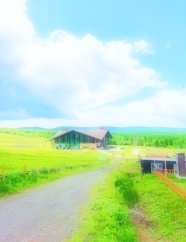 長白仙境華美勝地   22℃夏天+冬季粉雪+森林溫泉