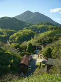 茶香漫步——大田大仙峰茶美人景區