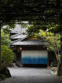 【日本小眾私湯】伊豆百年溫泉旅館沉浸式體驗匠人文化