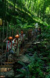 綠野深處秘境路線
