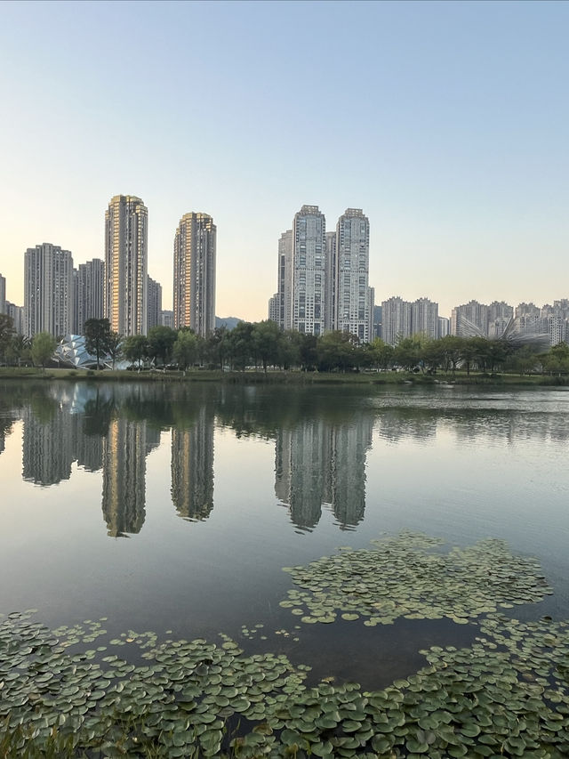 【深圳+長沙|兩家特色酒店,承包我的快樂假期】 【深圳+長沙|兩家特色酒店,承包我的快樂假期】