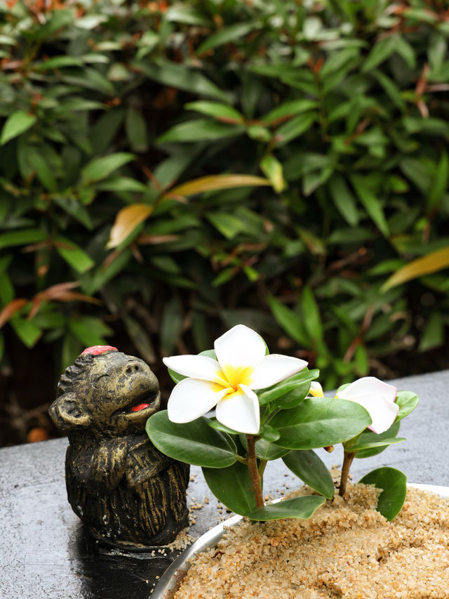 白蓮花度假村第三季取景地蘇梅島安納塔拉
