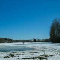 🌲 Helsinki Forests in Winter – Endless Walks in Silent Snow