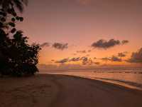 Memorable Stay at Safari Island