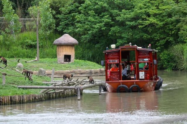 上海野生動物園水域探秘開啟