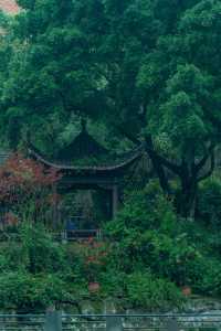 重慶｜石門公園的「新中式」雨天美學