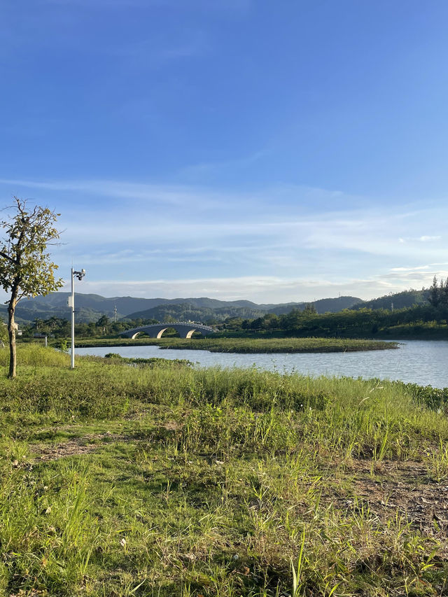 深圳最美濕地公園徒步攻略