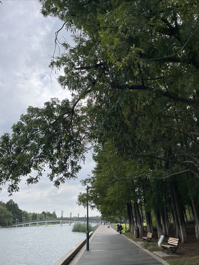 東沙湖生態公園