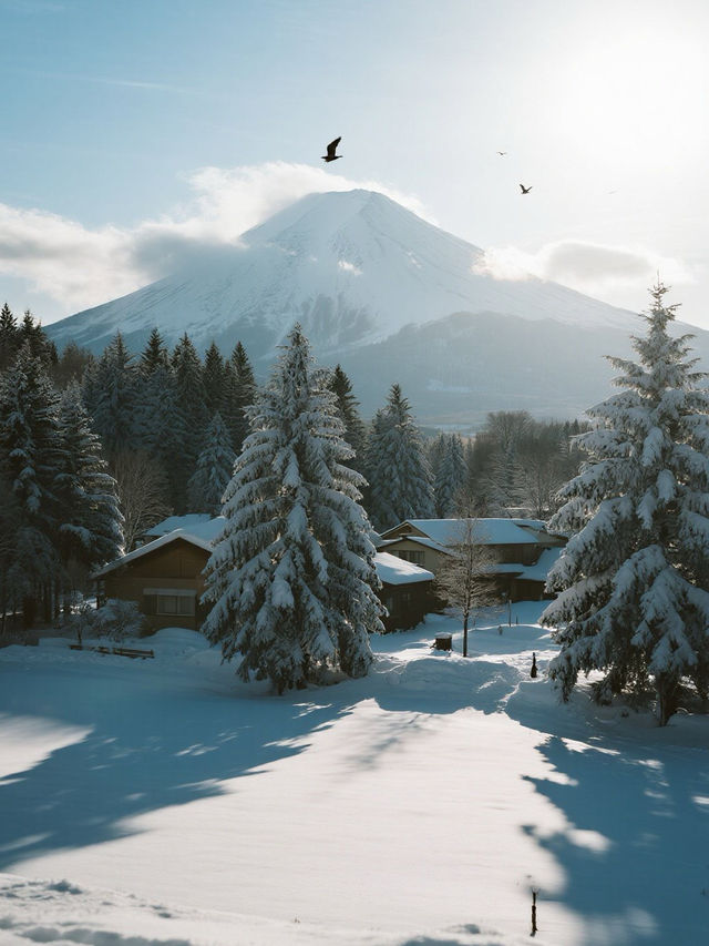 冬日北海道｜在雪與溫泉的童話裡，邂逅北國的溫柔詩篇