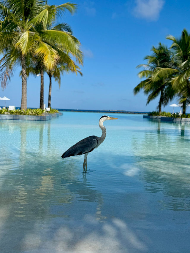 Exceptional Hospitality and a Memorable Stay