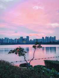 合肥天鵝湖｜暮色時分邂逅城市浪漫天際線