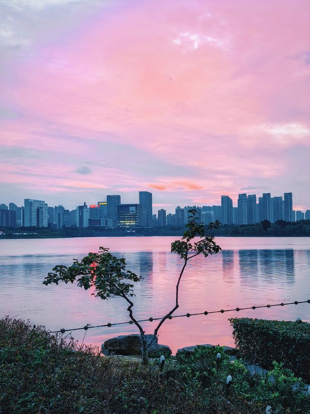 合肥天鵝湖｜暮色時分邂逅城市浪漫天際線