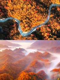 藏在四川的紅葉秘境！亞洲最大賞秋地，現在去正當時