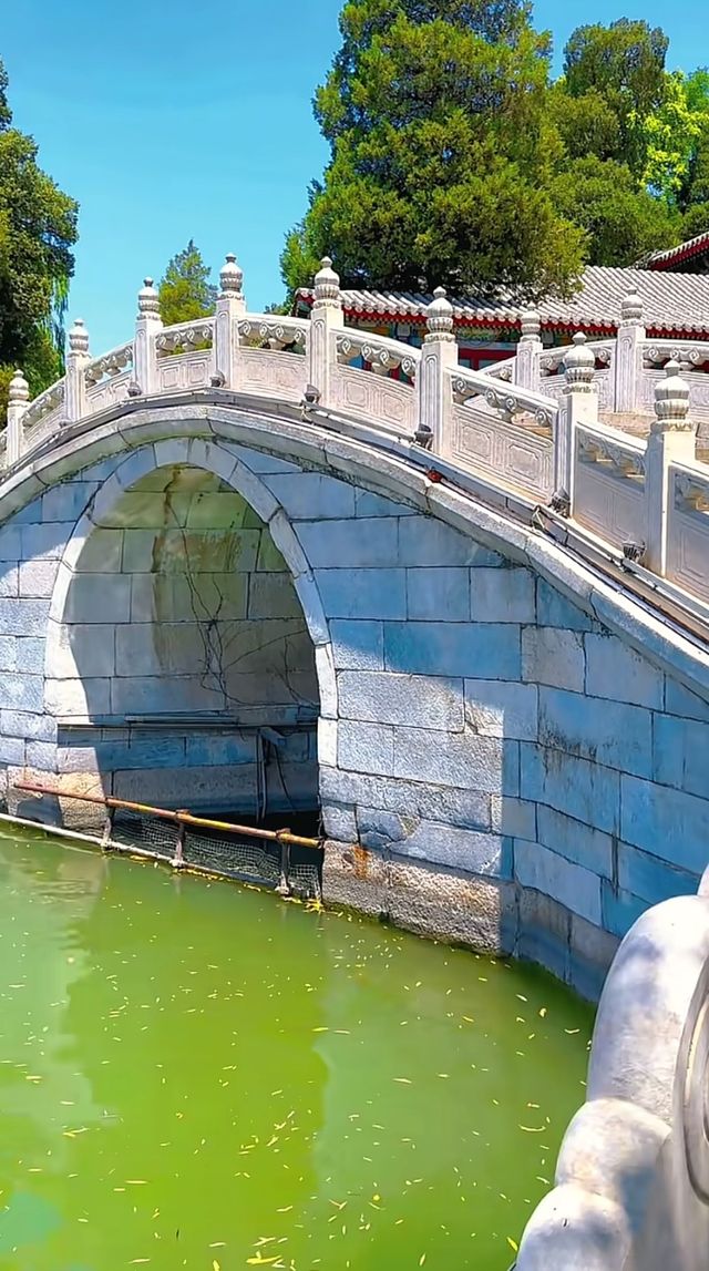 頤和園的鄰居竟藏了個仙境！北海公園3小時逛拍攻略  北海公園頂流！白塔倒影美到窒息！ 必去理由 