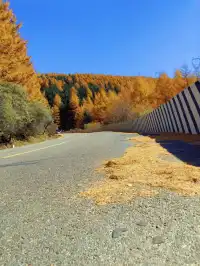 山西最美的季節就要來了，附賞秋旅遊攻略