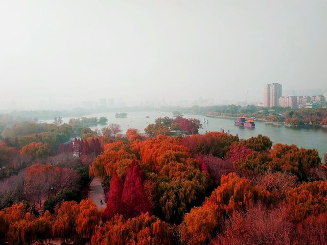 老舍先生筆下的濟南的秋 老舍先生筆下的濟南的秋