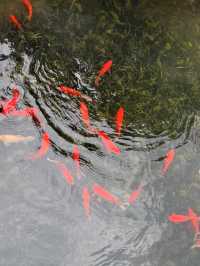 魔都慢生活圖鑑:世博文化公園的治癒時光