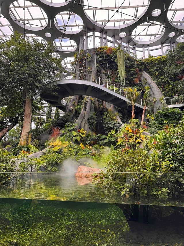 魔都慢生活圖鑑:世博文化公園的治癒時光 魔都慢生活圖鑑:世博文化公園的治癒時光