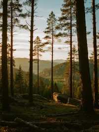 雲南親子遊私藏!劍川古城比大理更有味道