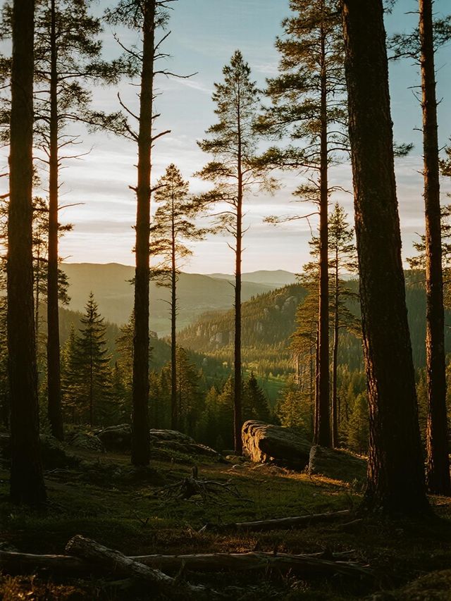 雲南親子遊私藏!劍川古城比大理更有味道 雲南親子遊私藏!劍川古城比大理更有味道