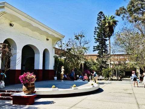 加州之旅 加州之旅