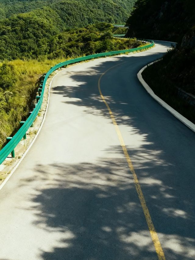 六盤山|闖入大西北的綠野秘境 六盤山|闖入大西北的綠野秘境