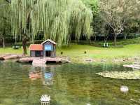 順便逛拍徐家匯公園