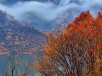 【秋染子房湖｜墜入山水畫裡的治癒時光】