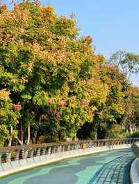 長沙小眾公園天花板磨盤洲生態公園溜娃不擠人