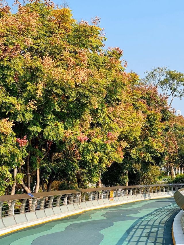 長沙小眾公園天花板磨盤洲生態公園溜娃不擠人 長沙小眾公園天花板磨盤洲生態公園溜娃不擠人