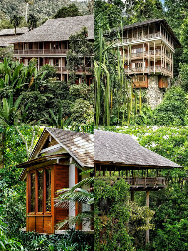 馬來西亞達泰蘭卡威酒店隱藏在熱帶雨林中的華麗天堂