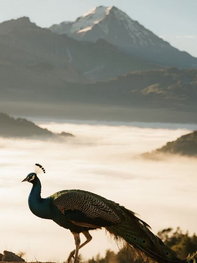 帶娃逃離城市！喇叭河秋日秘境太好逛了