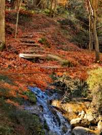 被忽略的小眾寶藏城市,六安秋色秘境