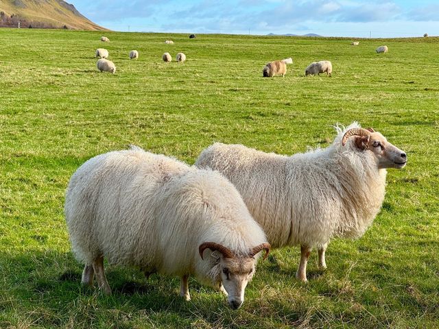 冰島維克教堂+塞里雅蘭瀑布自駕遊絕美機位大公開！