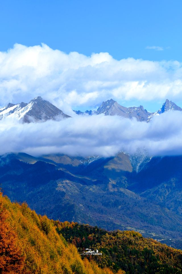 這裡的秋色不等人