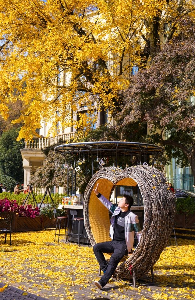 楓情莫干,醉美深秋 楓情莫干,醉美深秋