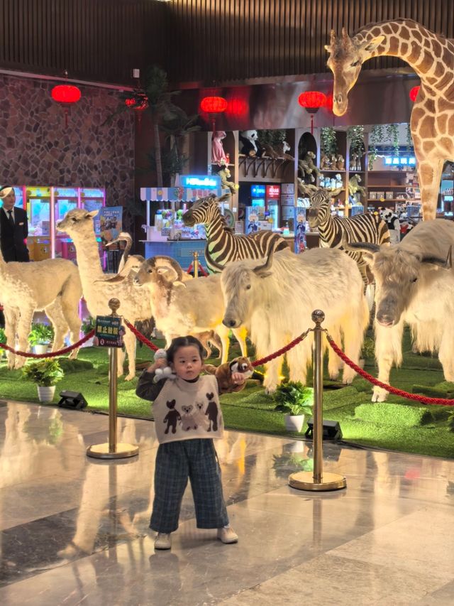 寧波出發2天1晚親子遊！把快樂焊在娃臉上