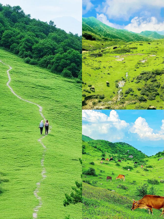 廣深徒步天花板這9座山承包全年週末快樂！