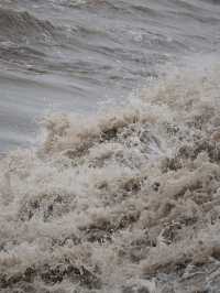 是小學課本上的海寧鹽官錢塘江觀潮