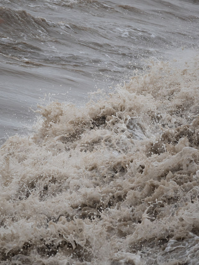 是小學課本上的海寧鹽官錢塘江觀潮