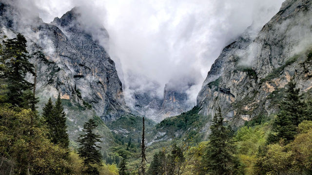 絕美仙境甘南扎尕那｜雲霧繚繞的隱世秘境