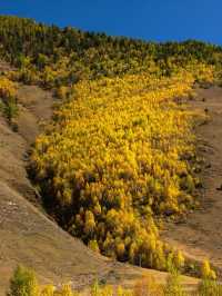 康定神仙酒店！