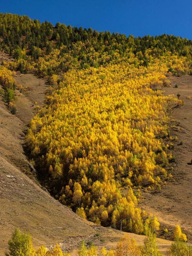 康定神仙酒店！