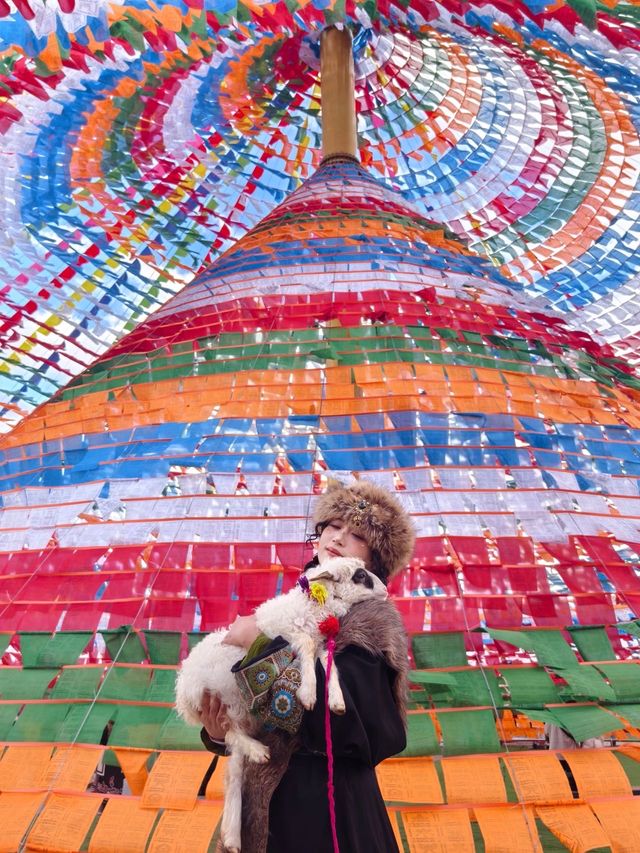 香格里拉初體驗｜美成高原畫報！