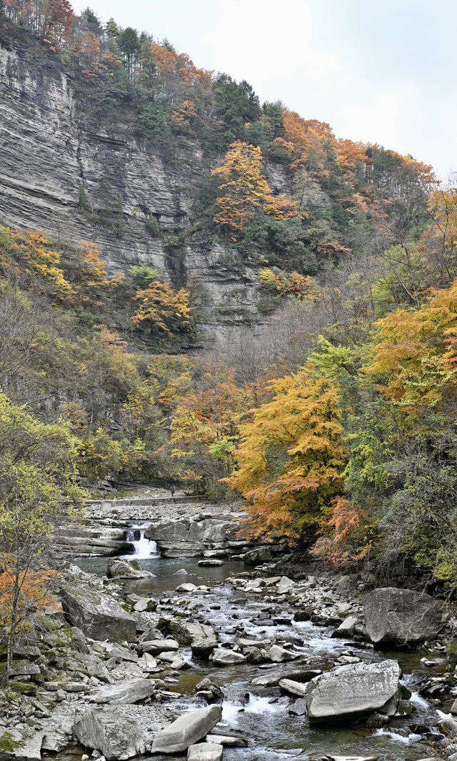 陝西秋日封神之境！黎坪紅葉美到失語