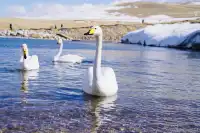 廣州出發！3天往返，直飛自駕看盡冰島藍冰