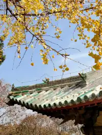 我宣佈,這是我河南最中意的小木頭房子